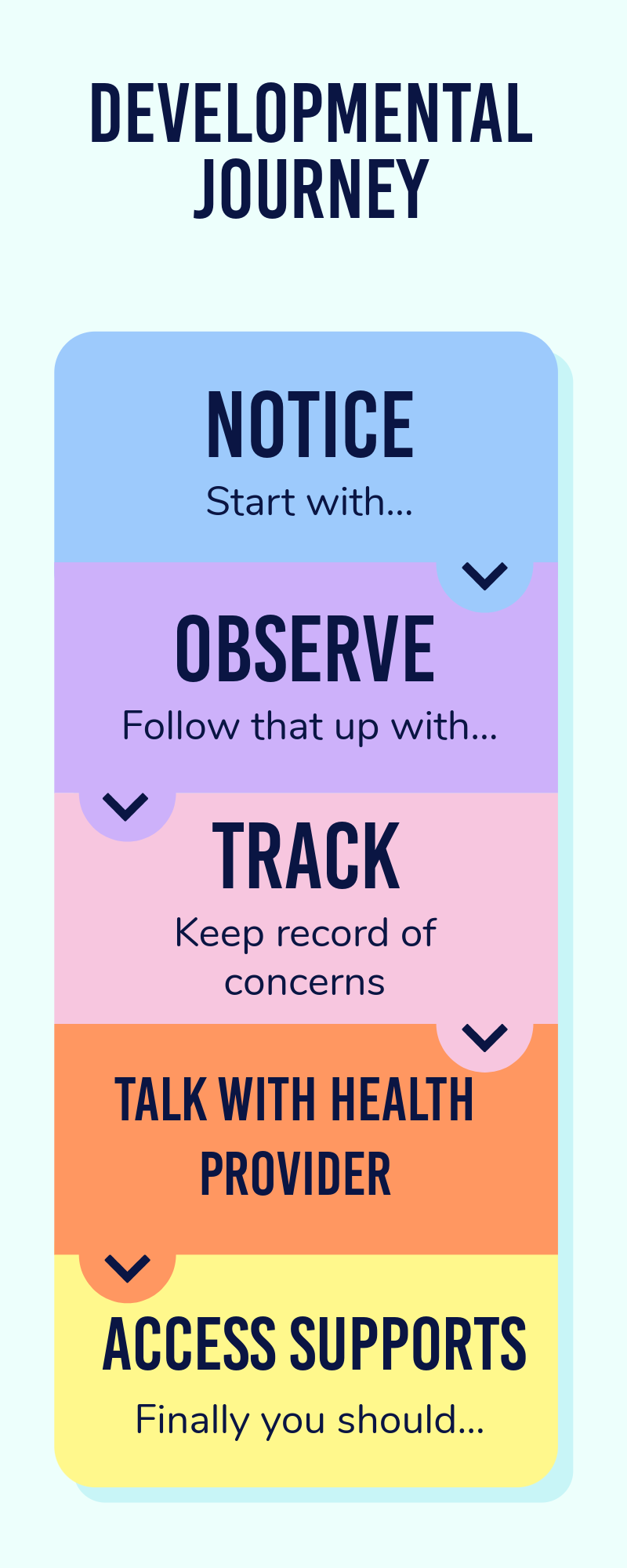 developmental infographic